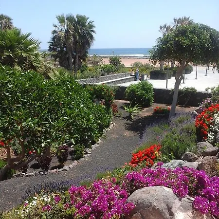 Sol Y Luz 公寓 科斯塔卡莱塔