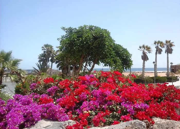 Apartment Sol Y Luz Caleta De Fuste
